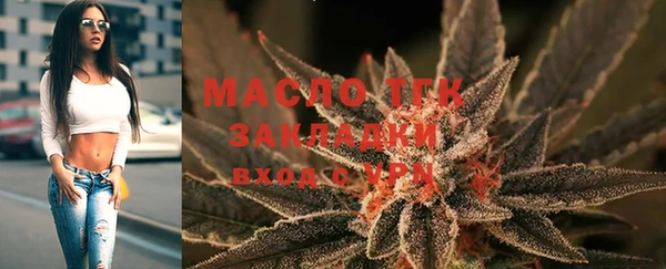 шишки Пионерский