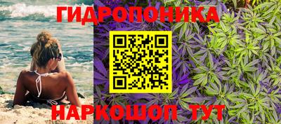 марки lsd Камышлов