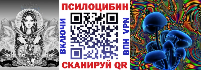 Псилоцибиновые грибы мицелий  нарко площадка формула  Норильск 