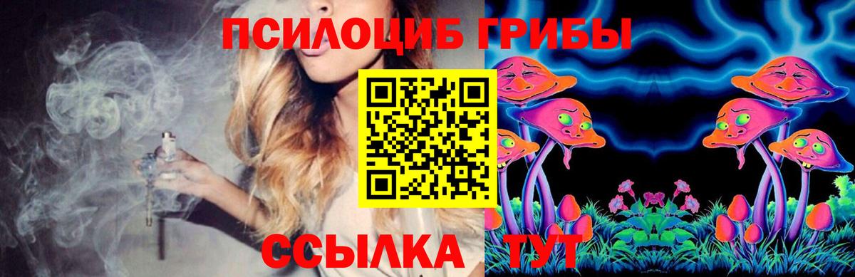 Галлюциногенные грибы Magic Shrooms  Вход с VPN  Псилоцибиновые грибы мицелий  Норильск 